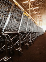 A large group of shopping carts arranged in a neat, orderly line inside a spacious warehouse. The metallic frames of the carts reflect the overhead lighting, and the ceiling features a grid-like structure with bright lights.