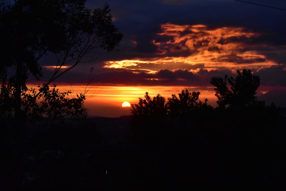 Silhouette von Bäumen während der goldenen Stunde