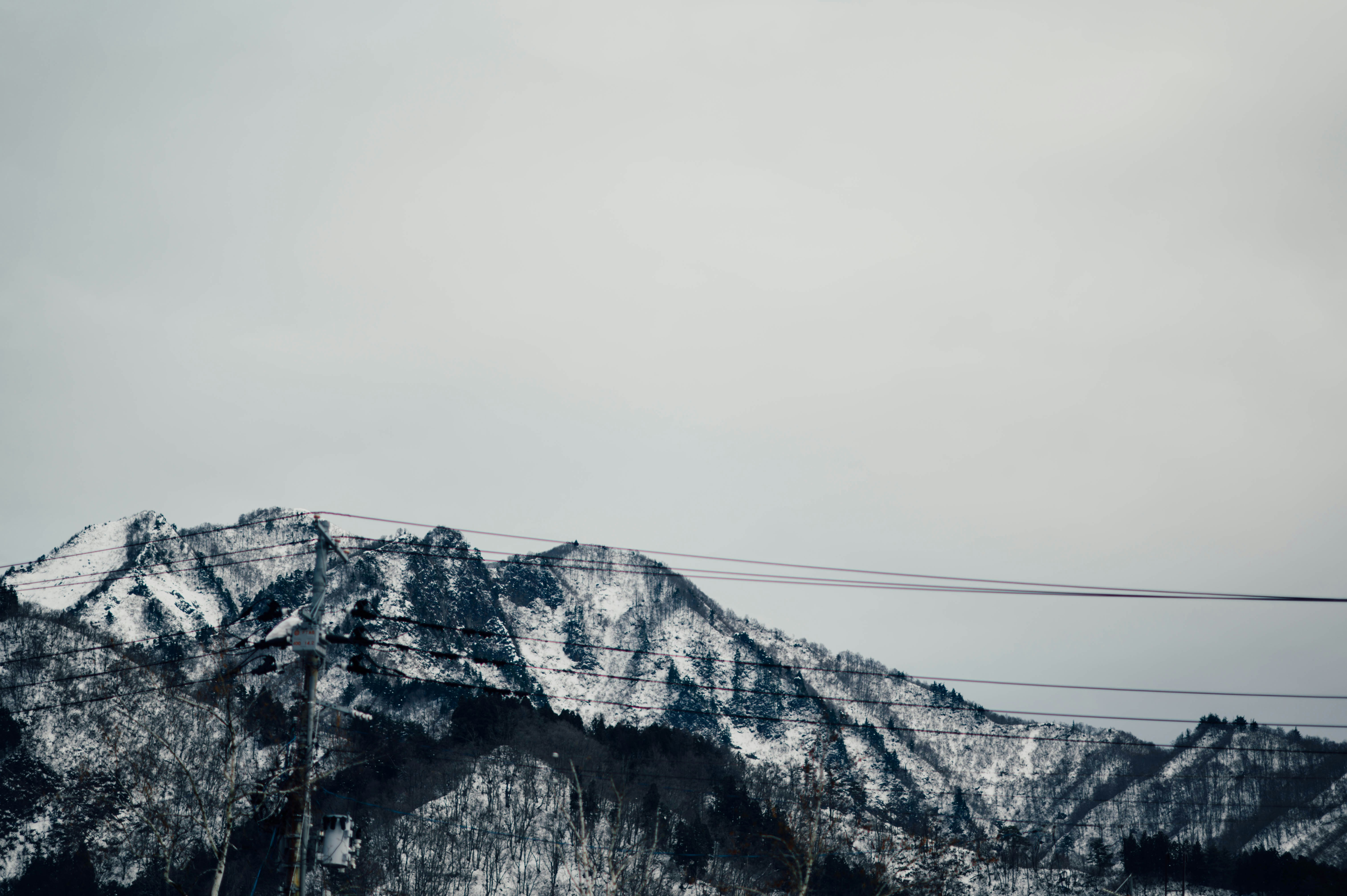 Photo by chuttersnap