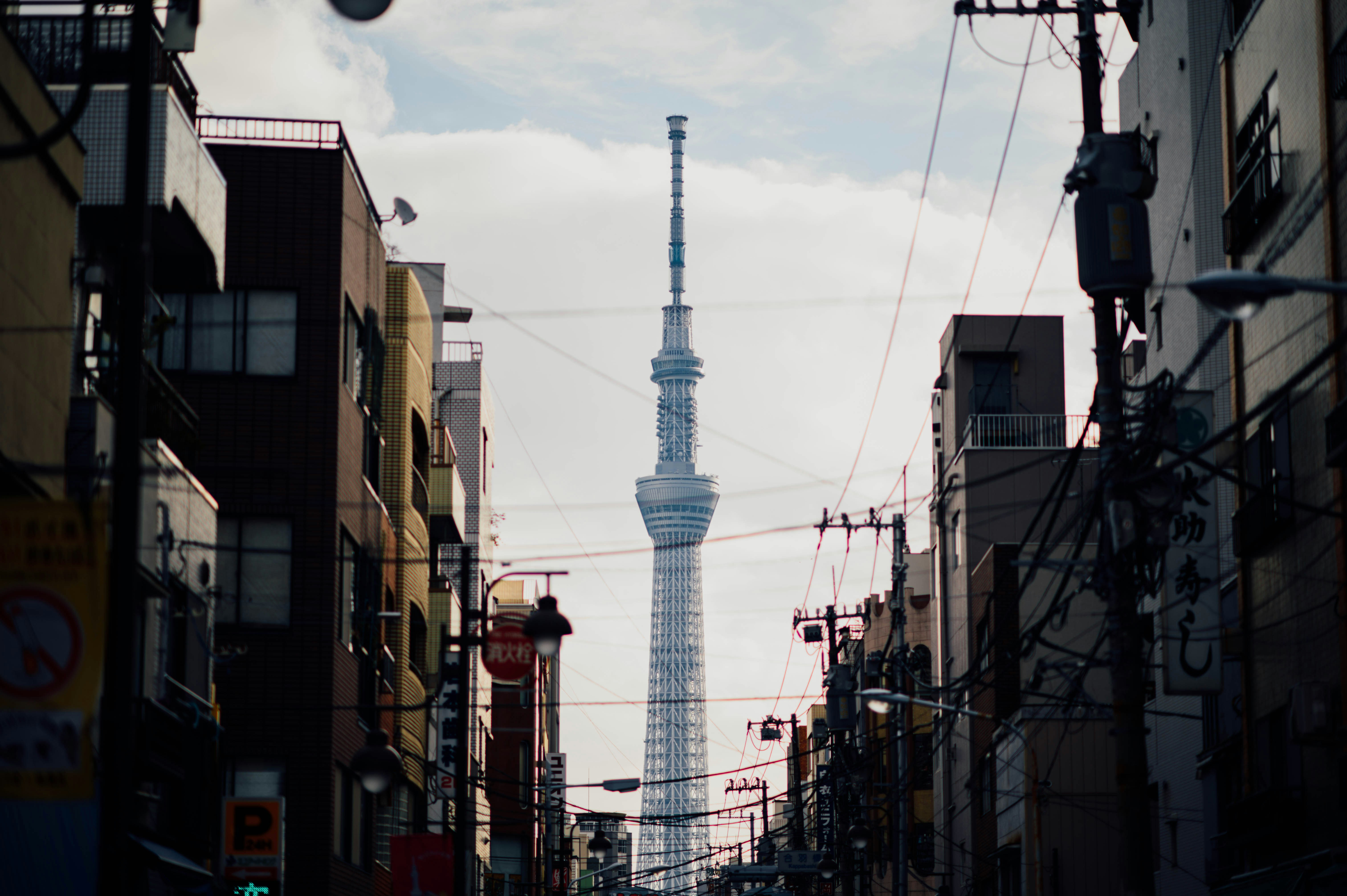 Tokyo Tower Review