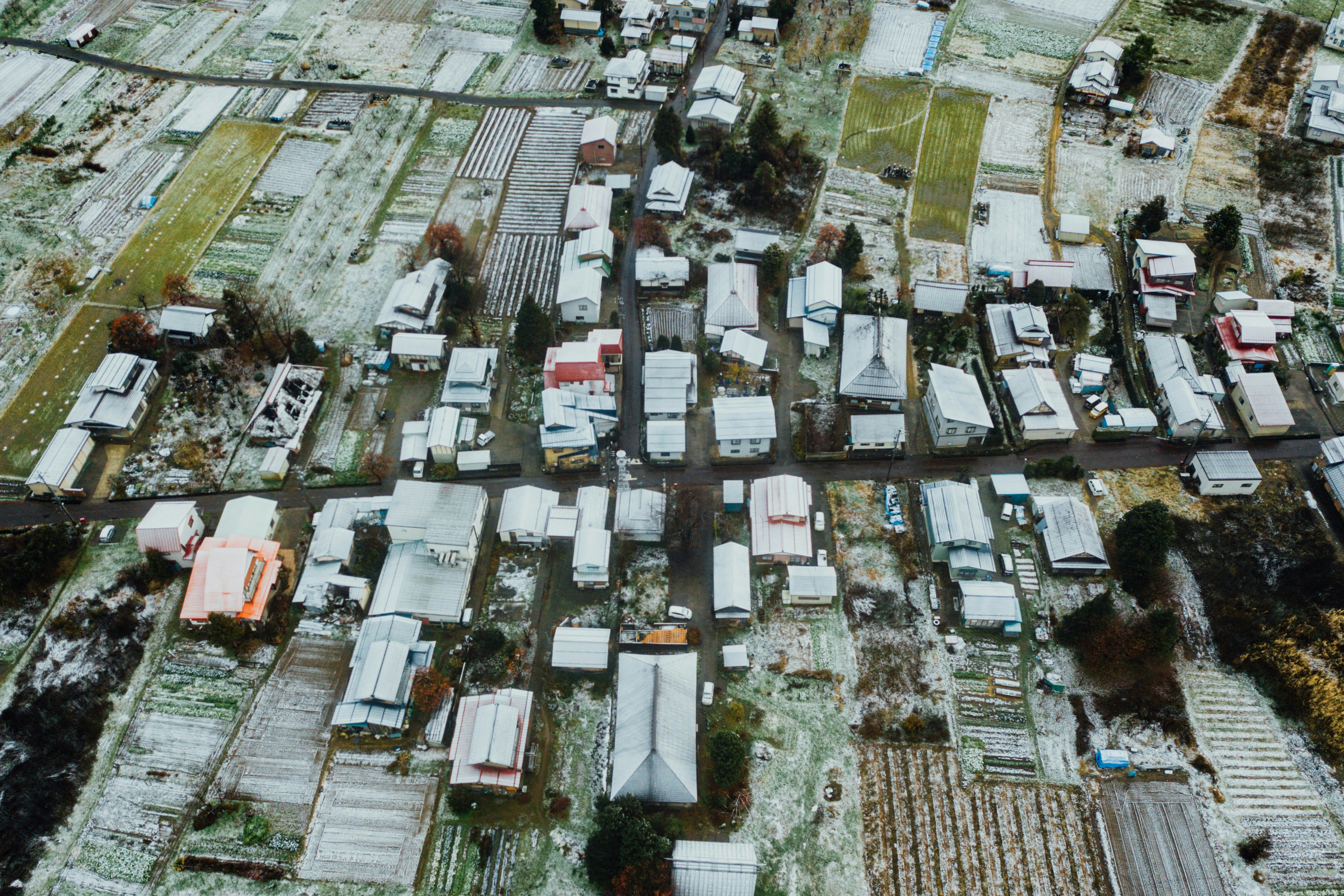 Photo by chuttersnap