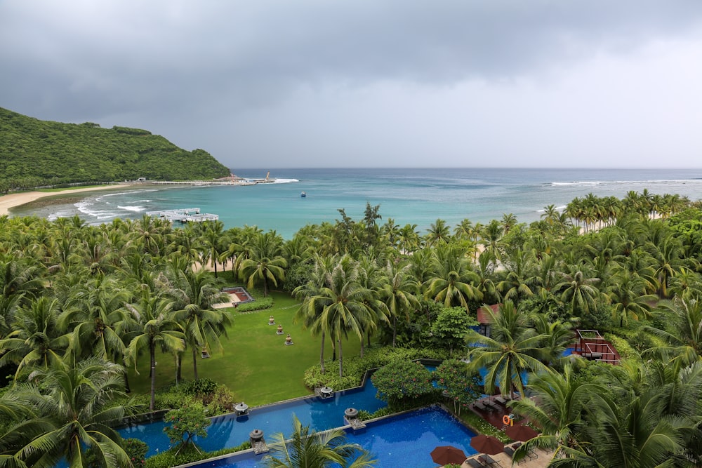 aerial view of beach