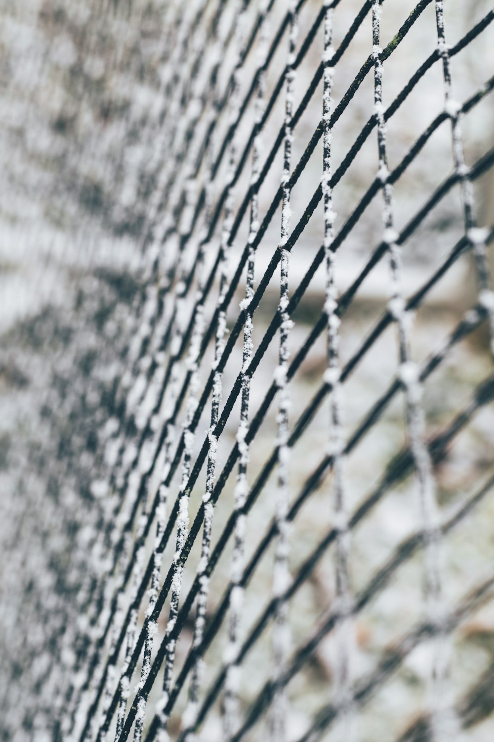 selective focus photography of wire fence during daytime