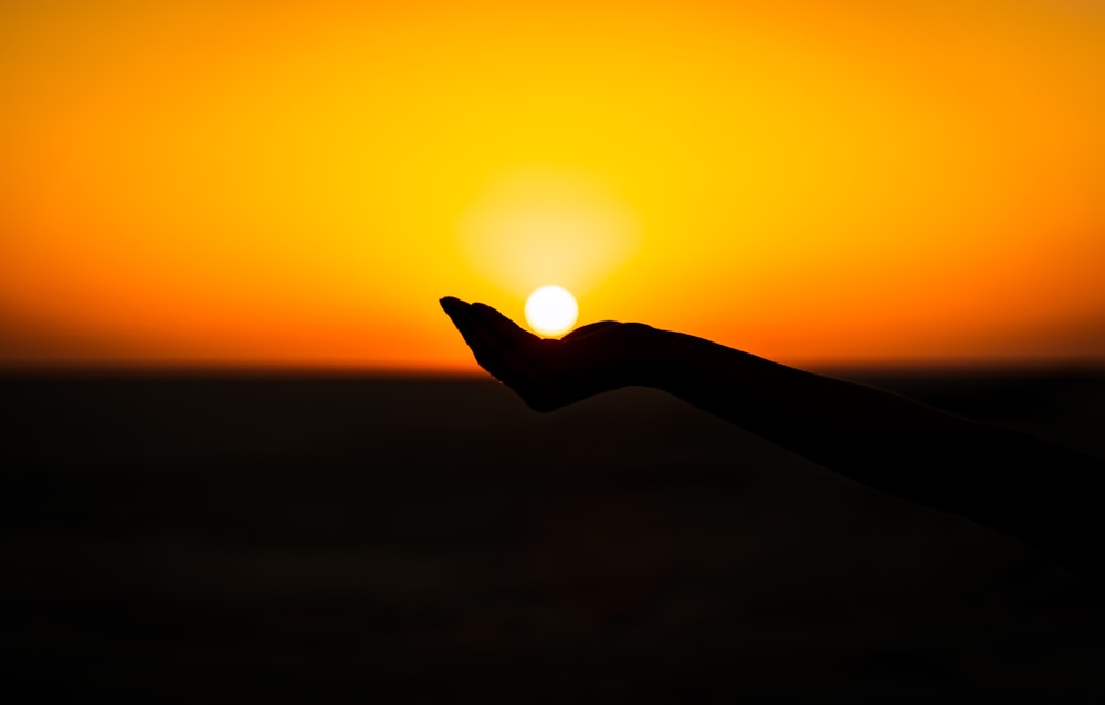 silhouette photography of human hand