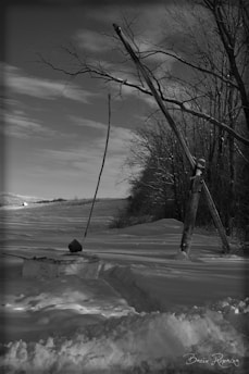 A snowy landscape features a traditional wooden well with a long pole and bucket. The surroundings include a bare tree and dense forest in the background. The sky is partly cloudy, and there is a small building visible in the distance.