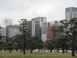 Cityscape featuring mixed-use developments blending nature and architecture.