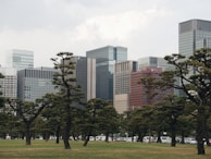 A cityscape featuring modern tall buildings in the background with a foreground of well-maintained green parkland and uniquely shaped trees. The urban skyline blends with nature, showcasing a contrast between architectural structures and organic forms.