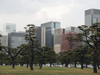 A cityscape featuring modern tall buildings in the background with a foreground of well-maintained green parkland and uniquely shaped trees. The urban skyline blends with nature, showcasing a contrast between architectural structures and organic forms.