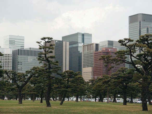 A cityscape featuring modern tall buildings in the background with a foreground of well-maintained green parkland and uniquely shaped trees. The urban skyline blends with nature, showcasing a contrast between architectural structures and organic forms.