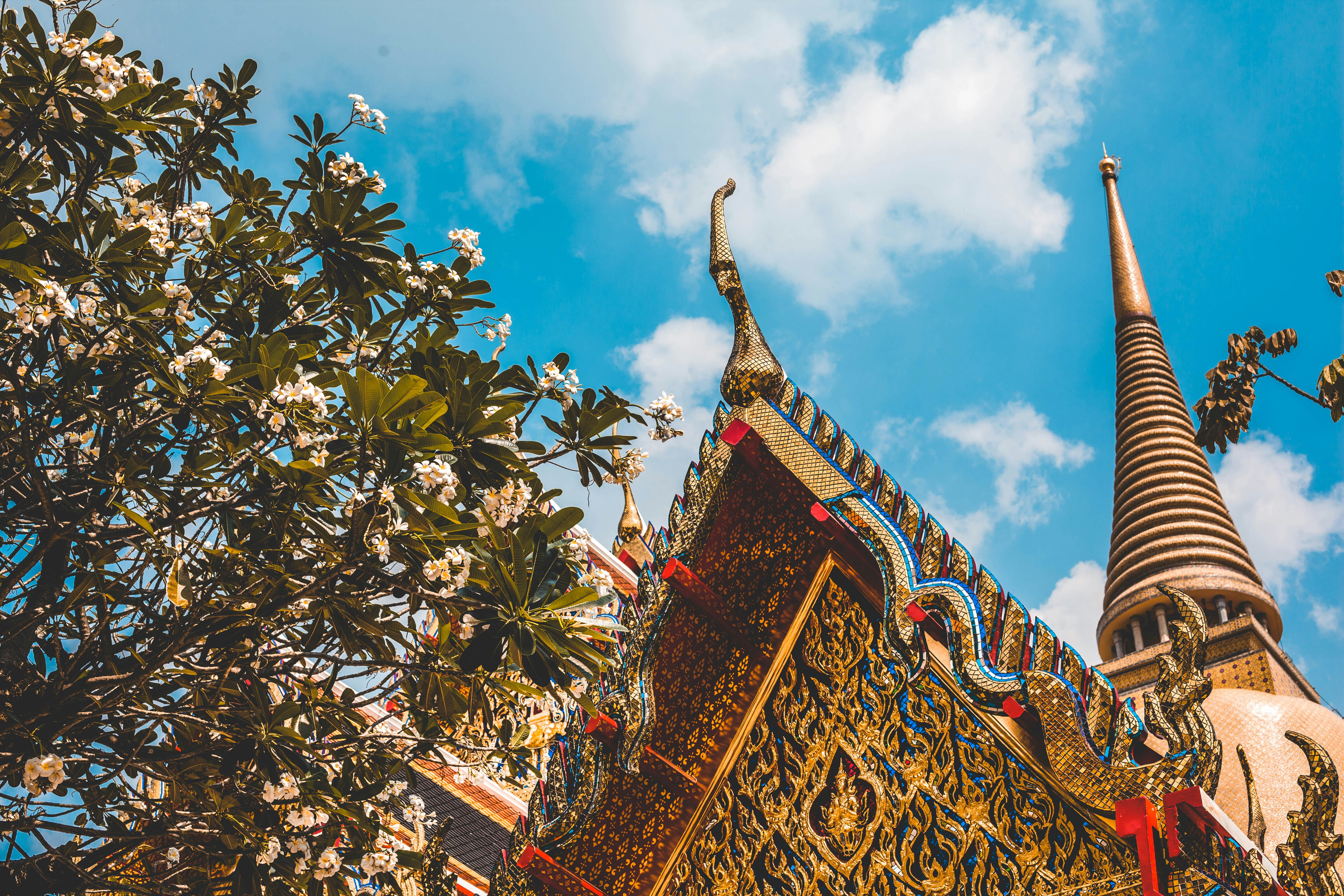 Photo by charlespostiaux