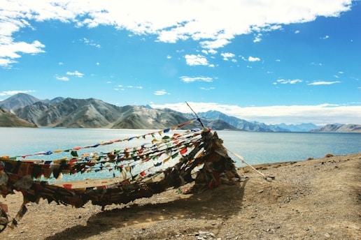 A vibrant still from the Chakra Yatra video trailer showing a serene landscape with glowing chakras.