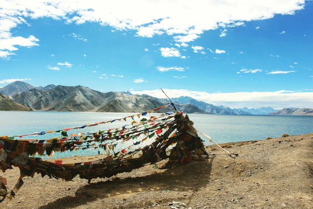 A vibrant collage showing a serene Himalayan trek, a colorful cultural festival, and a peaceful beach yoga session.