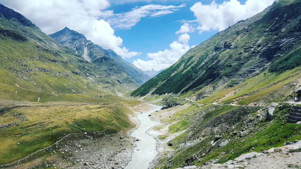 ruscello tra erbe e montagne