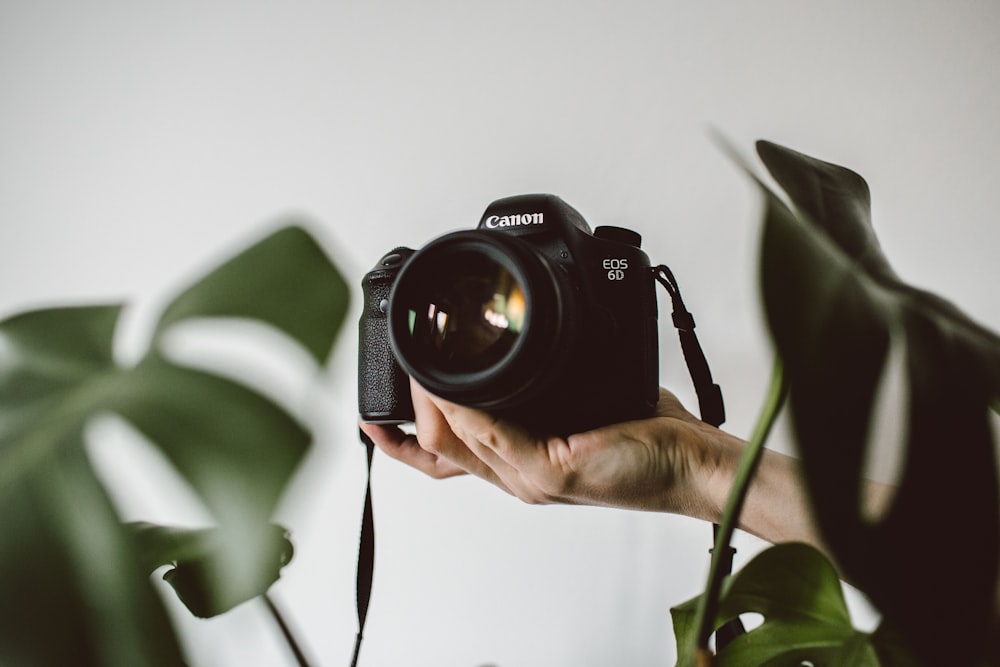 person holding Canon EOS DSLR camera