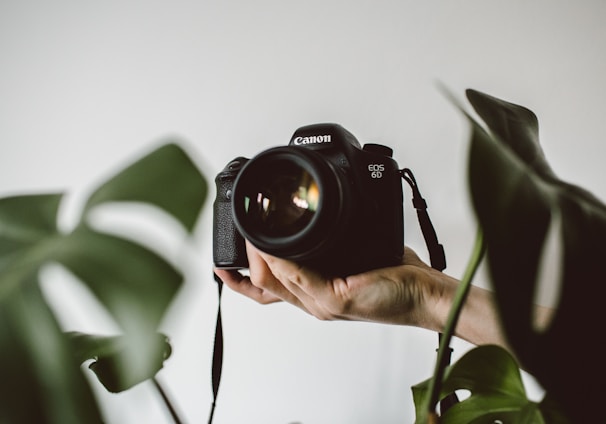 person holding Canon EOS DSLR camera