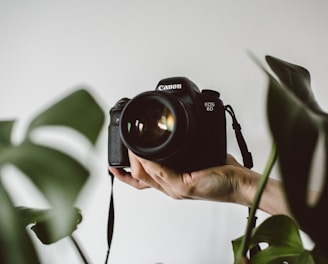 person holding Canon EOS DSLR camera