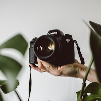 person holding Canon EOS DSLR camera