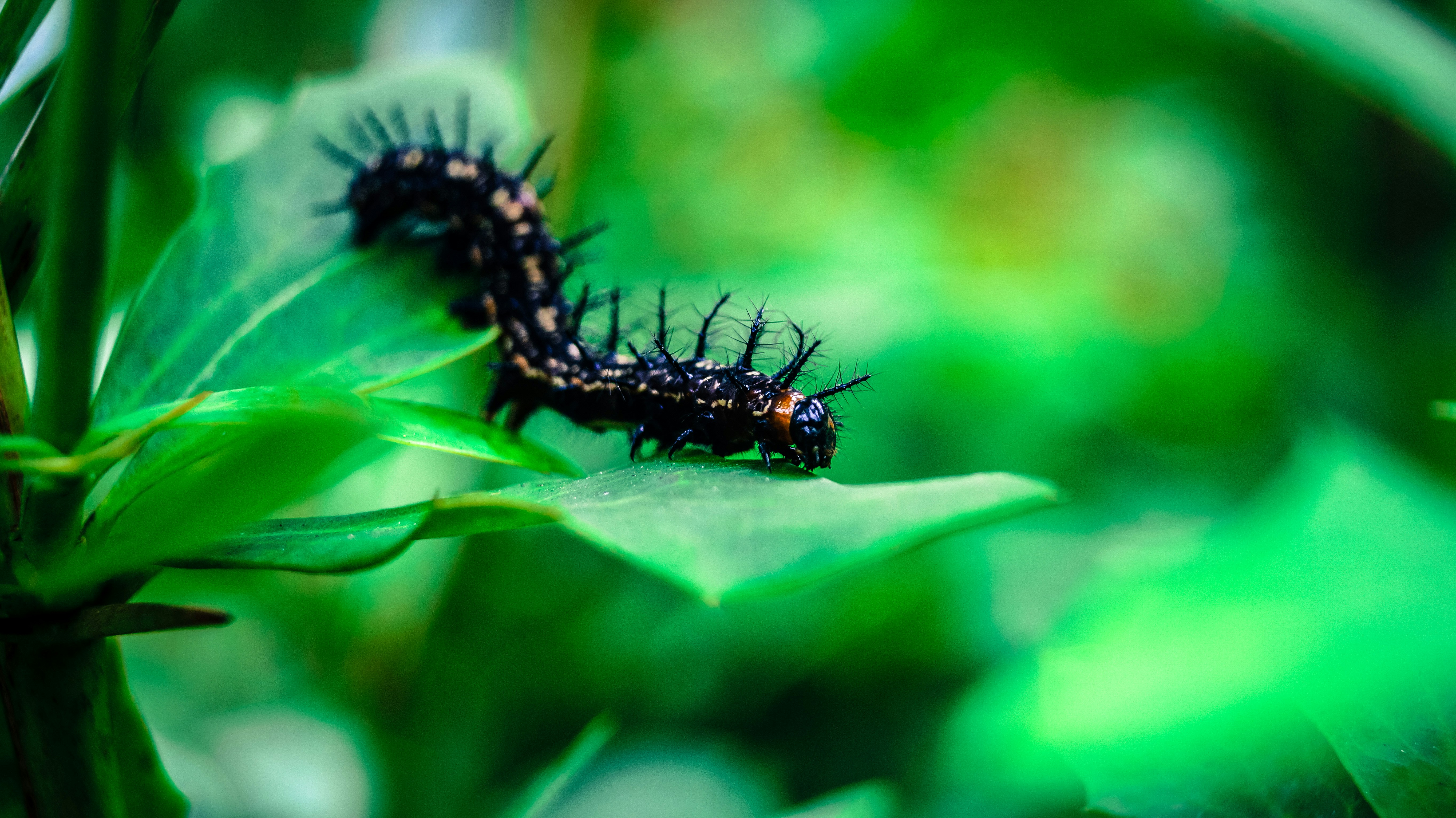 Photo by arjun_kapoor