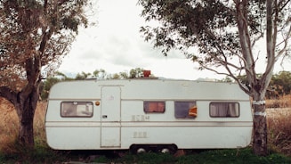 white camper trailer in between green trees