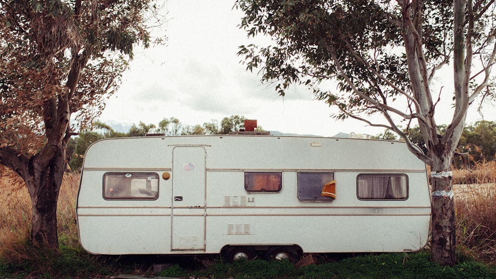 white camper trailer in between green trees