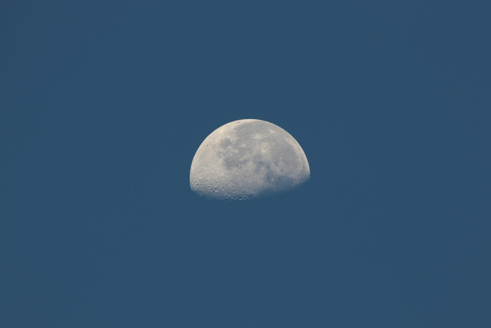 Canon EOS 80D + Sigma 150-600mm F5-6.3 DG OS HSM | C sample photo. Half moon view photography