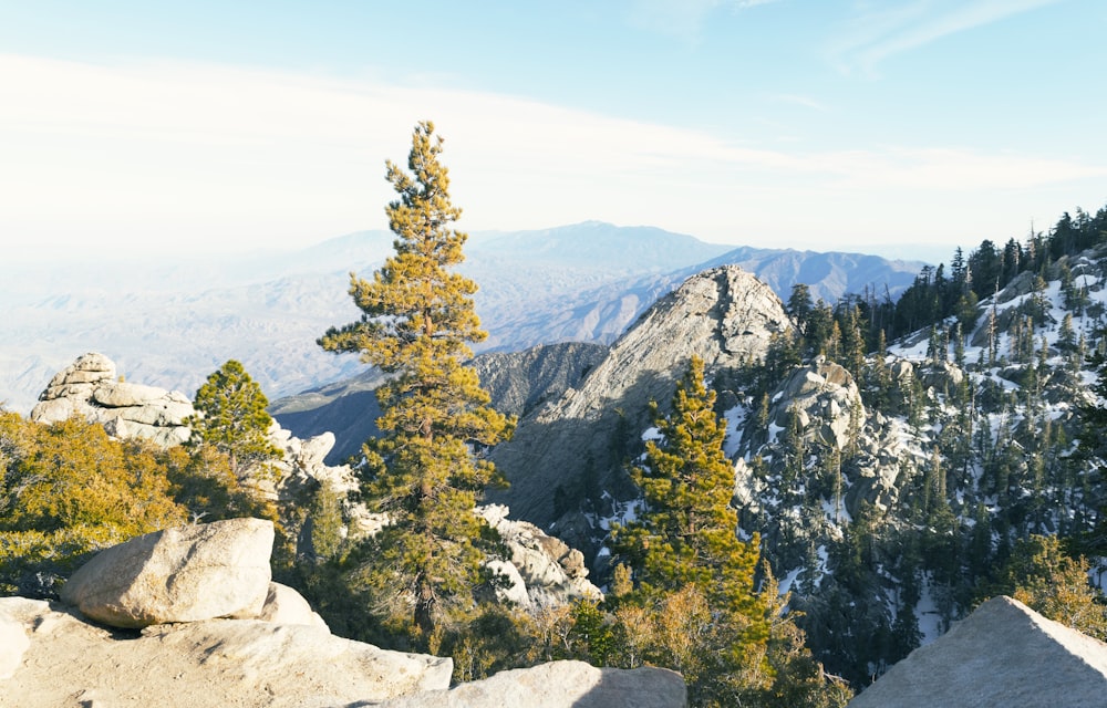 rocky mountain with trees under blue sky