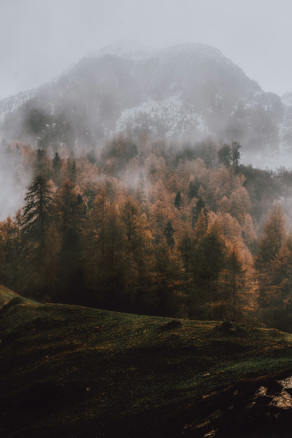 mountain covered with fogs