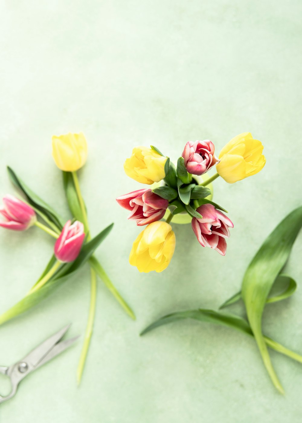 flores de tulipán amarillas y rosas