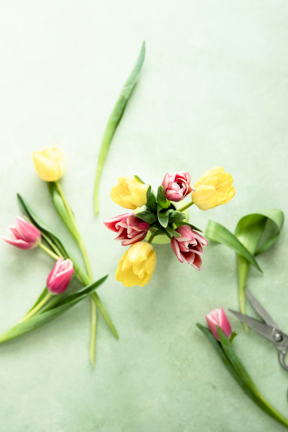 arranjos de flores de tulipa rosa e amarela