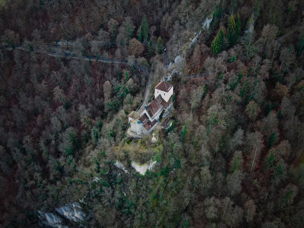 white house surrounded with green trees during daytime