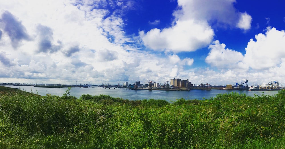 green grass field near body of water and city buildings during daytime