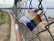 A rainbow-colored padlock is attached to a chain-link fence, with out-of-focus surroundings including a body of water and grassy ground. The padlock features the branding 'Master' on its blue base.