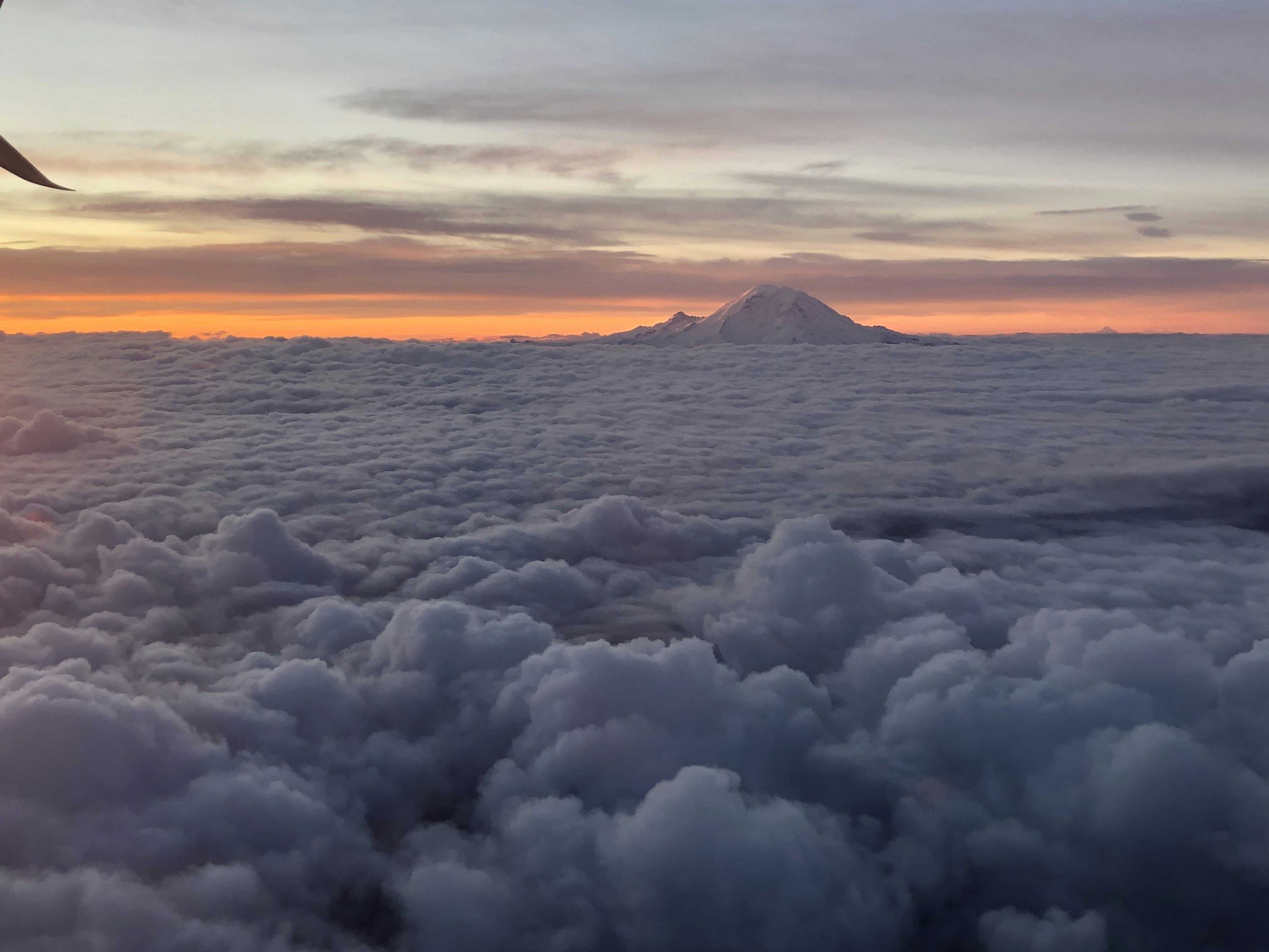 Photo by calliesearching