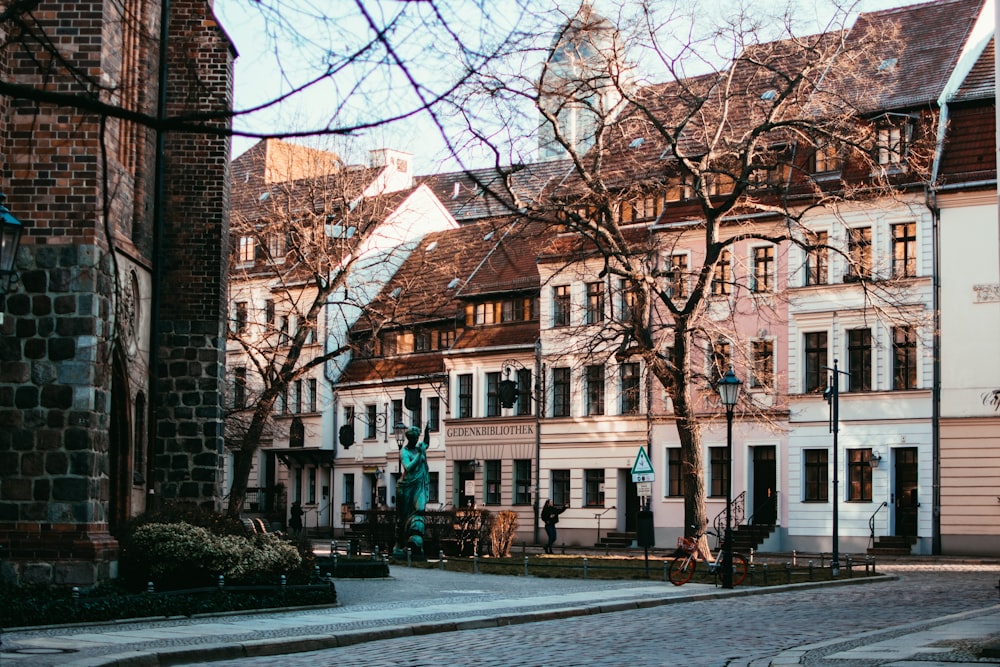 withered trees surrounded by houses