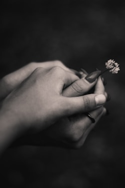 two person holding hands holding petaled flower