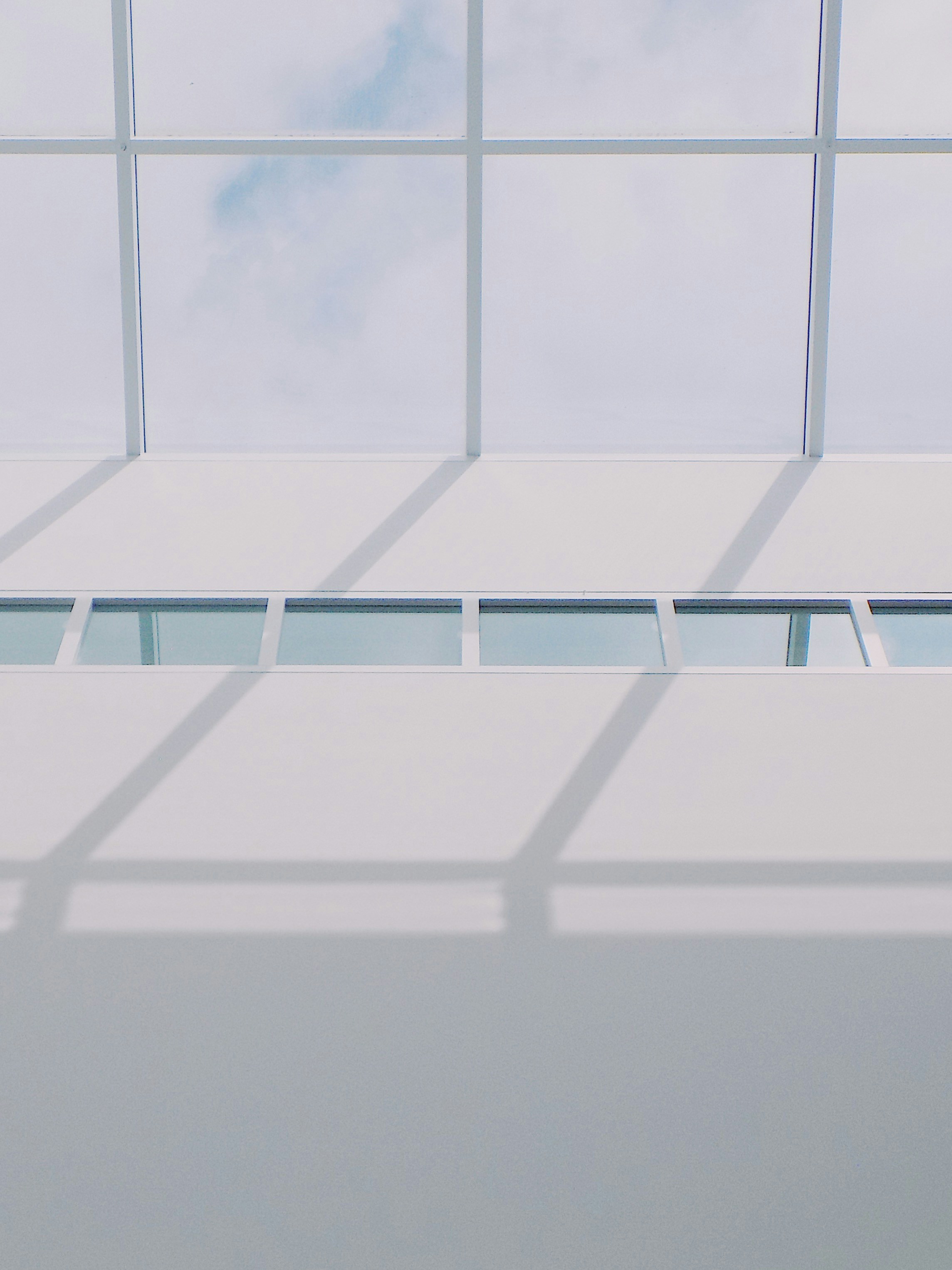 Photo by anewevisual