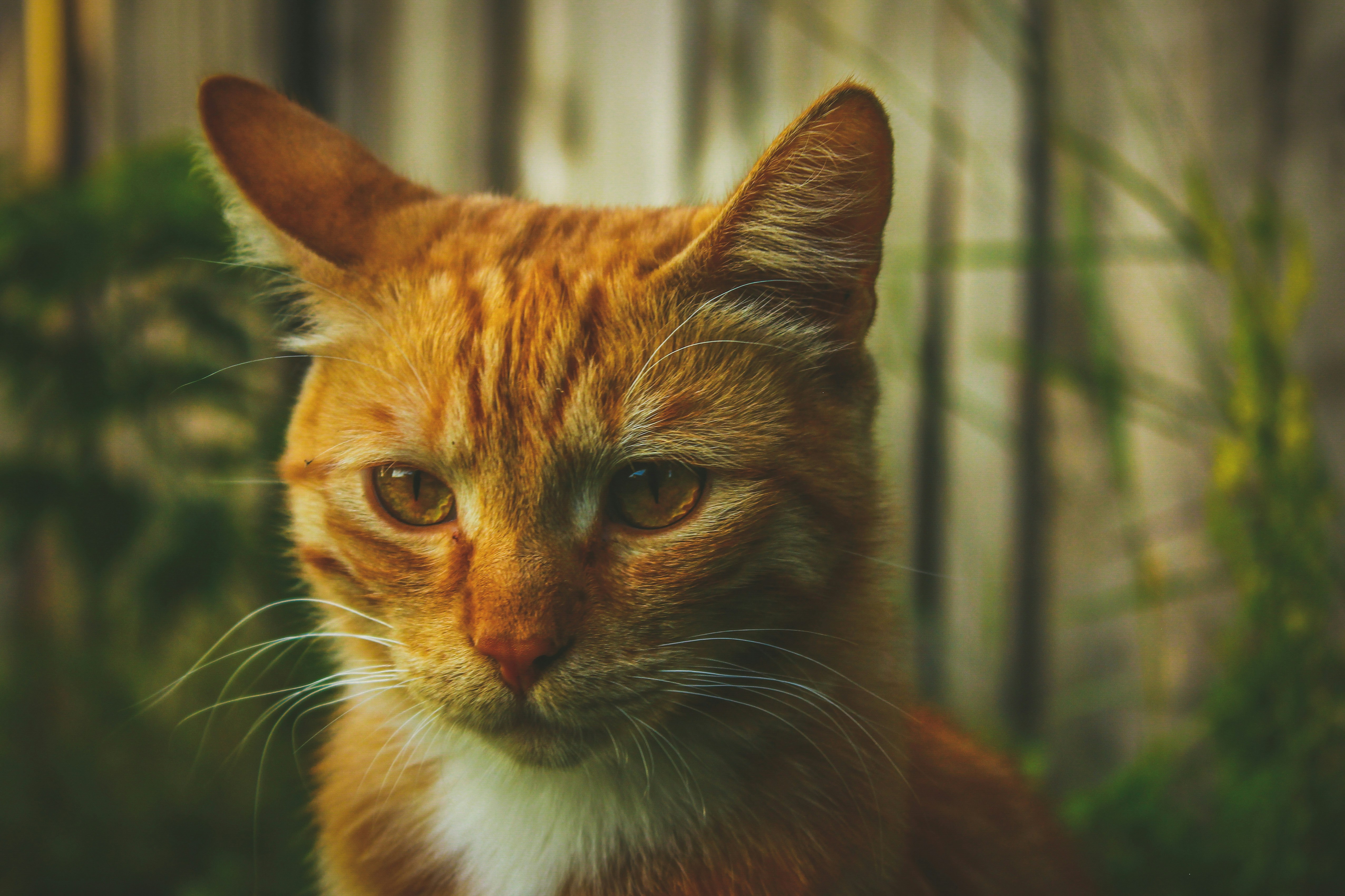 Photo by anastasiavitph