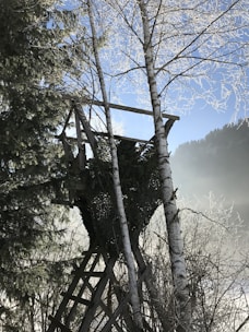 A wooden hunting stand situated among birch trees covered with frost, offering a view of the misty landscape and blue sky beyond.