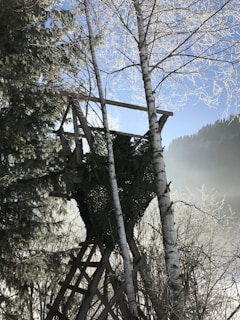A wooden hunting stand situated among birch trees covered with frost, offering a view of the misty landscape and blue sky beyond.