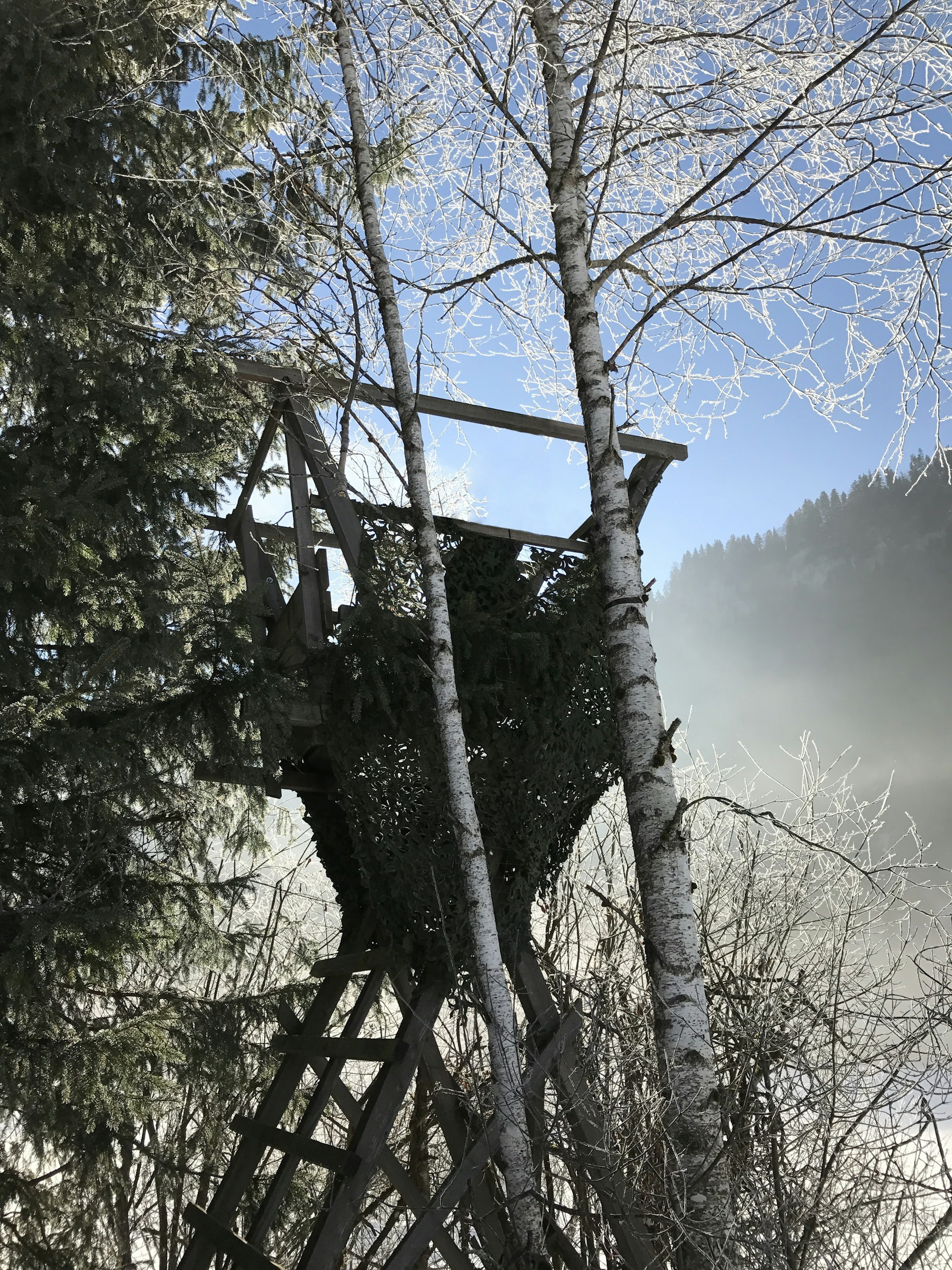 gray computer monitor