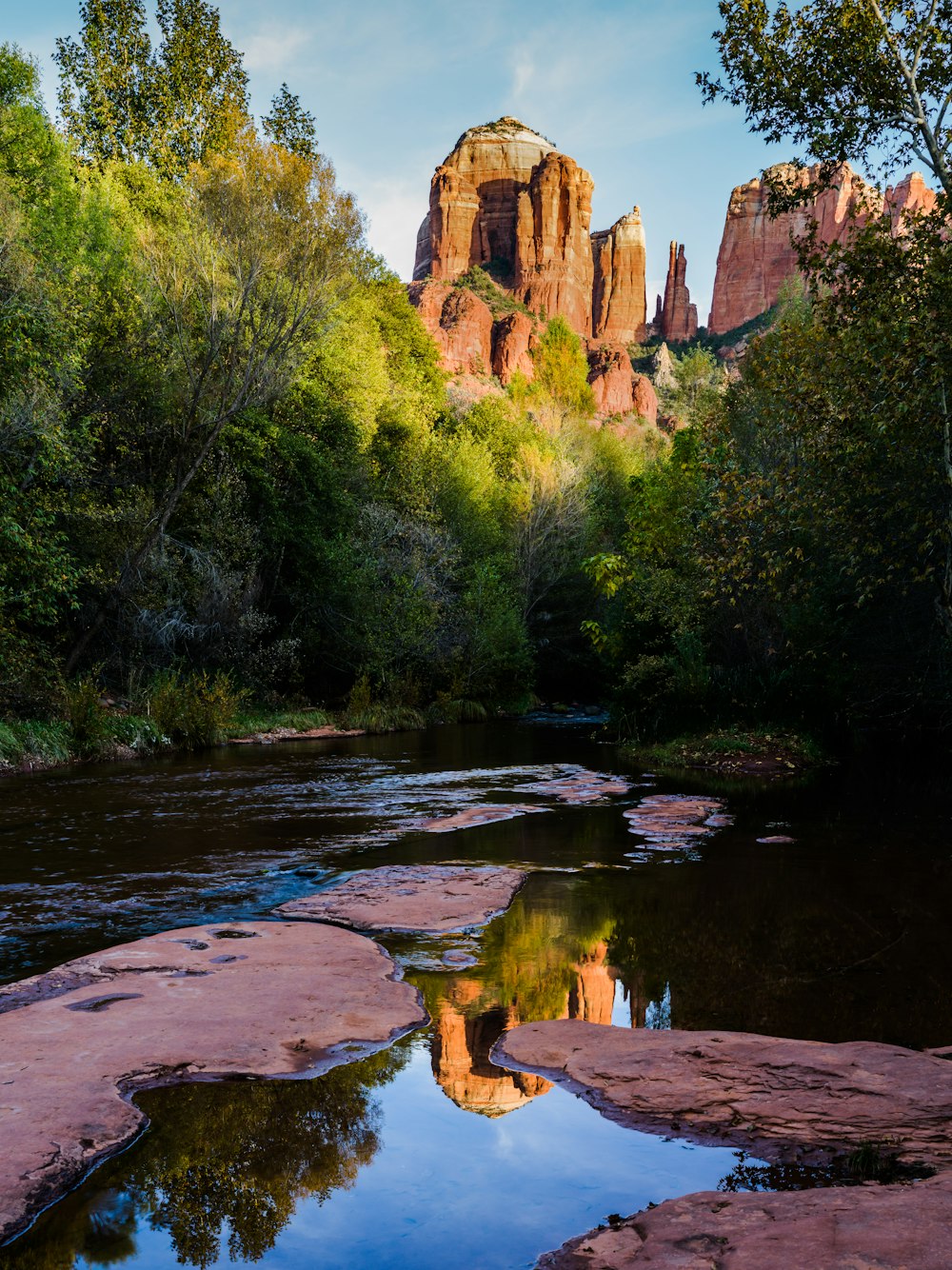 rocky mountain behind trees and river