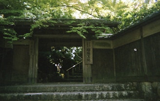 Detail of a traditional Japanese gate surrounded by lush green foliage and soft shadows.