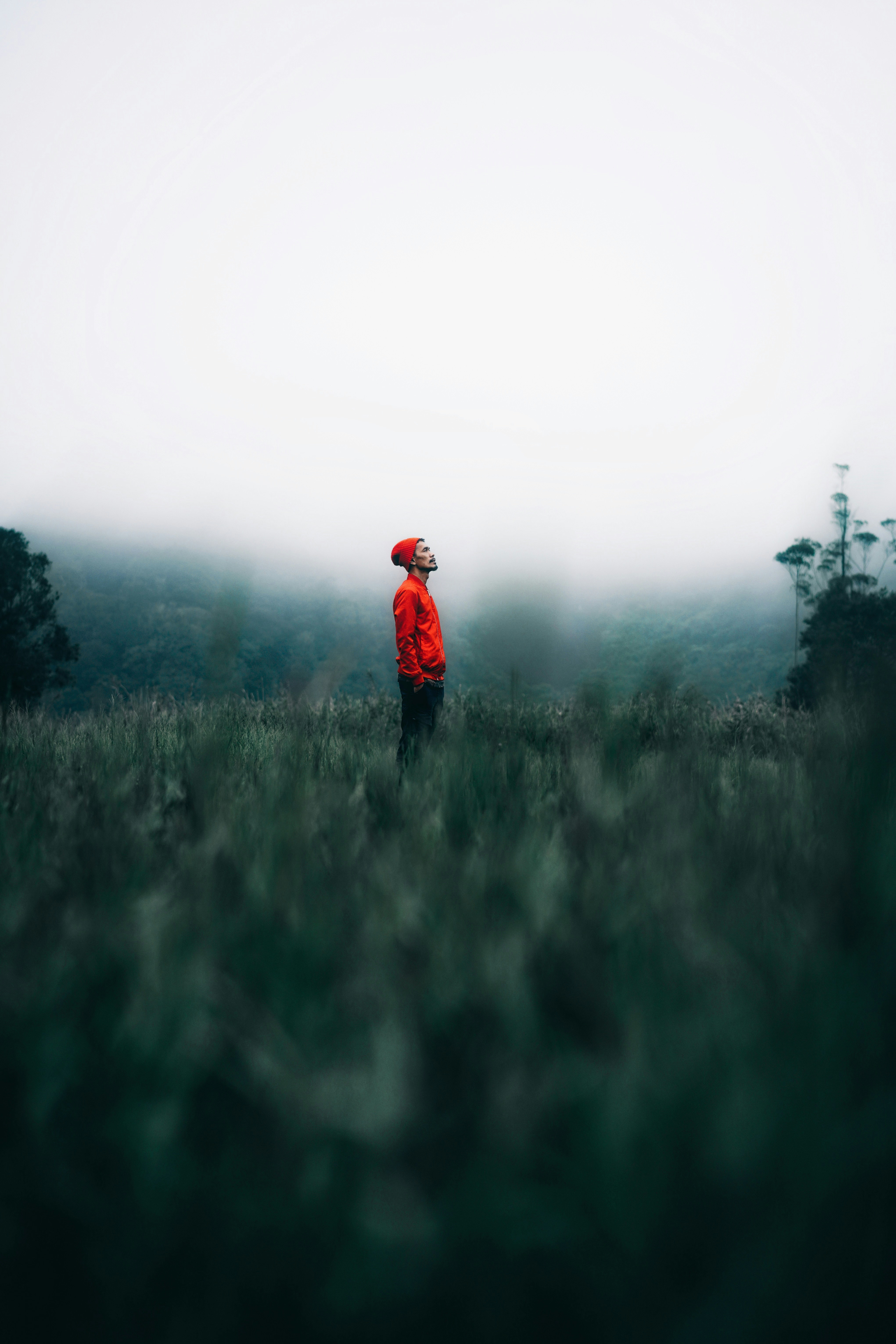 JavaScript - One language to rule them all!