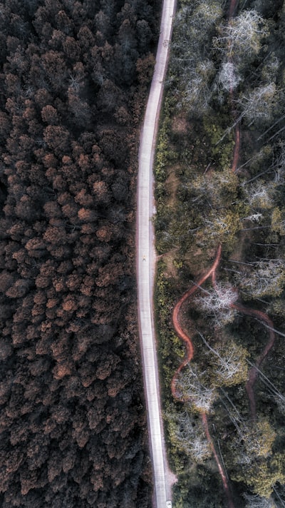 Elie & Marie's China trip