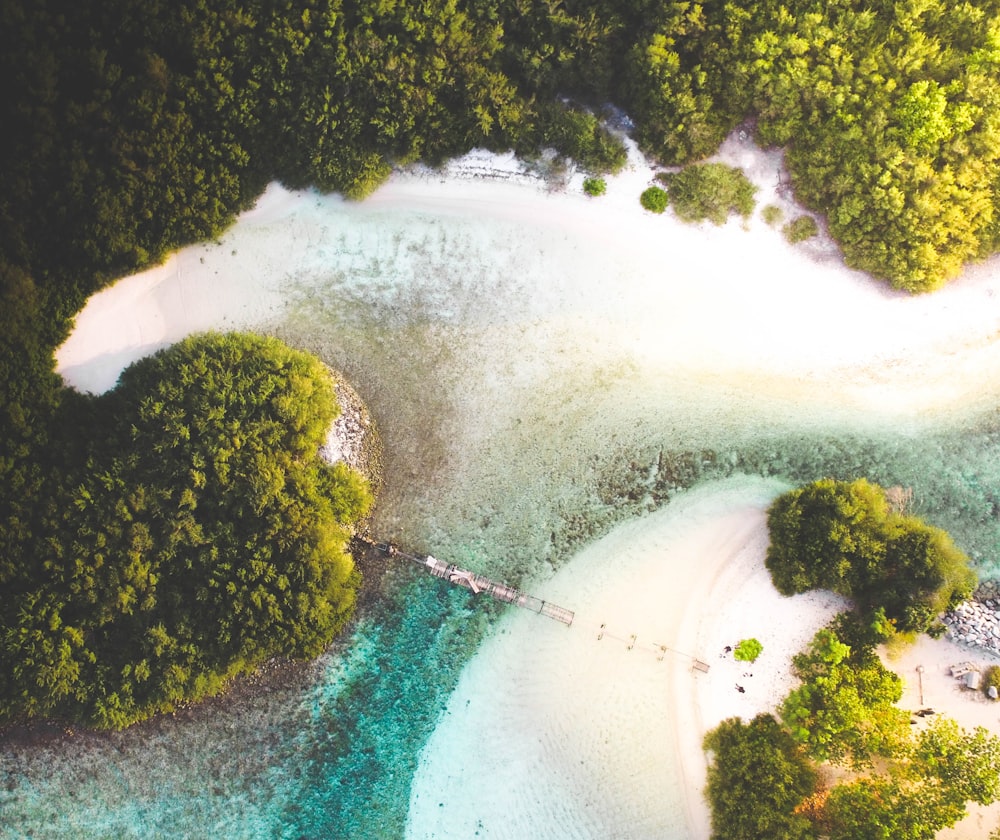 high-angle photography of body of water near trees