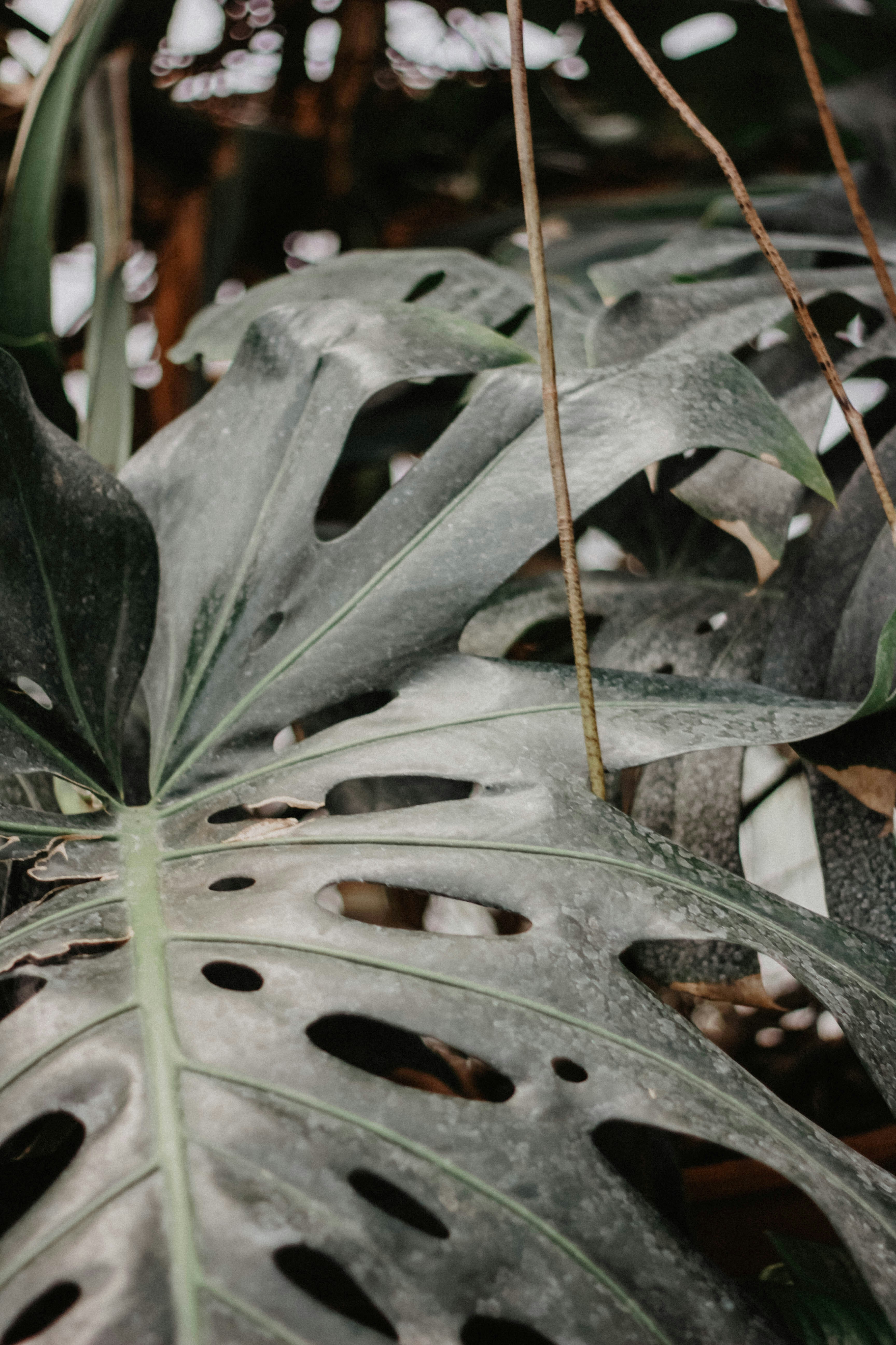 Photo by rebekahbaines