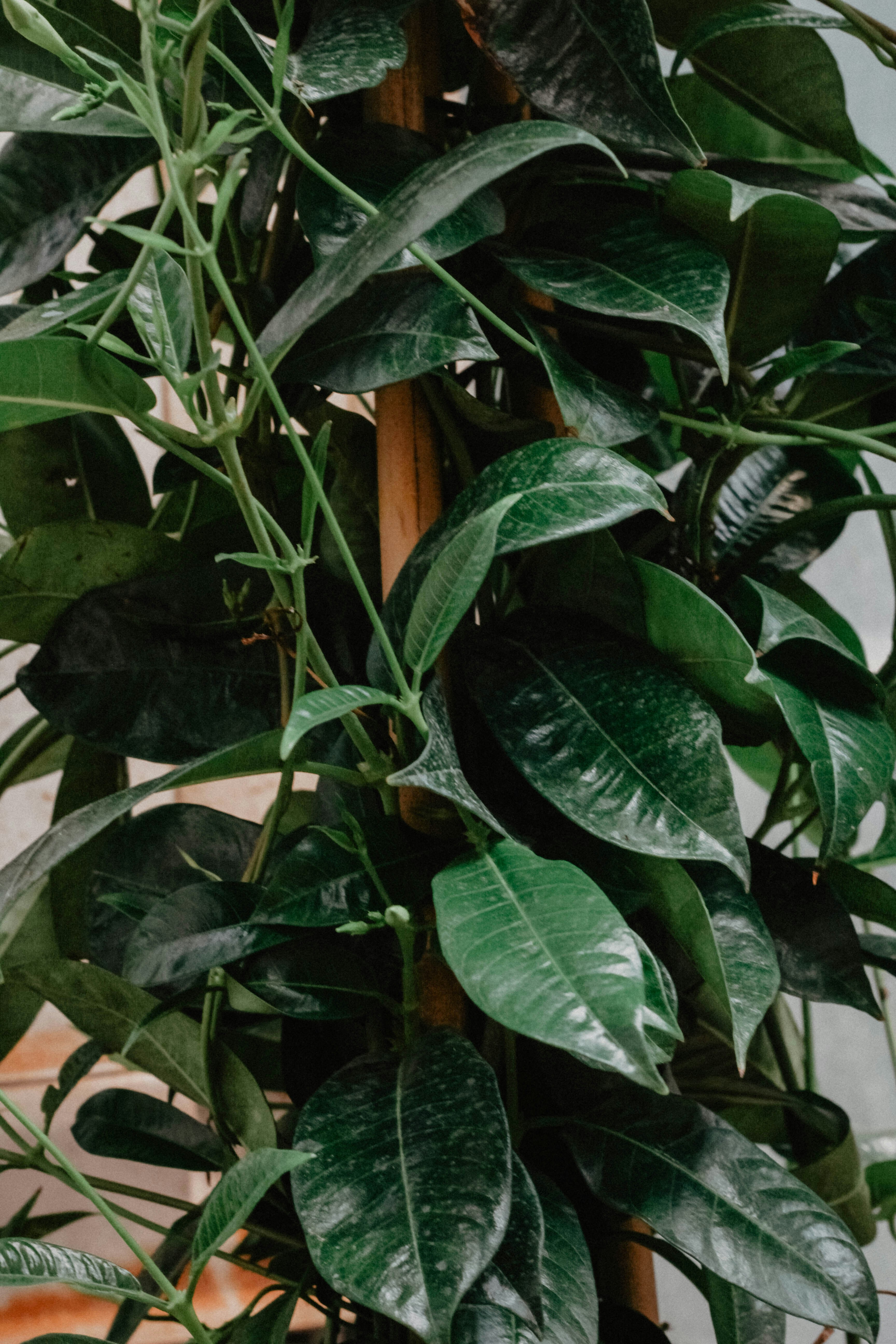 Photo by rebekahbaines