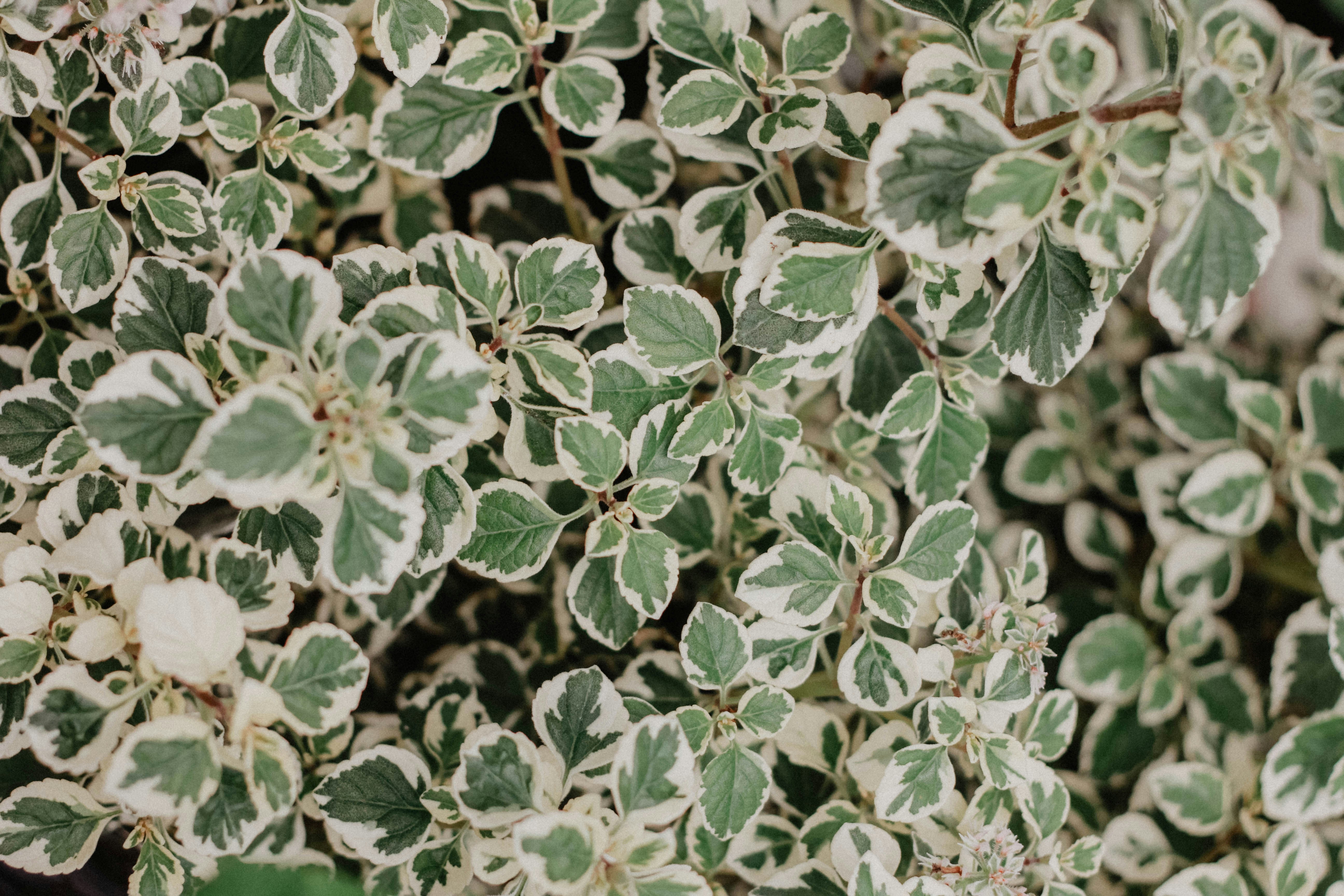 Photo by rebekahbaines