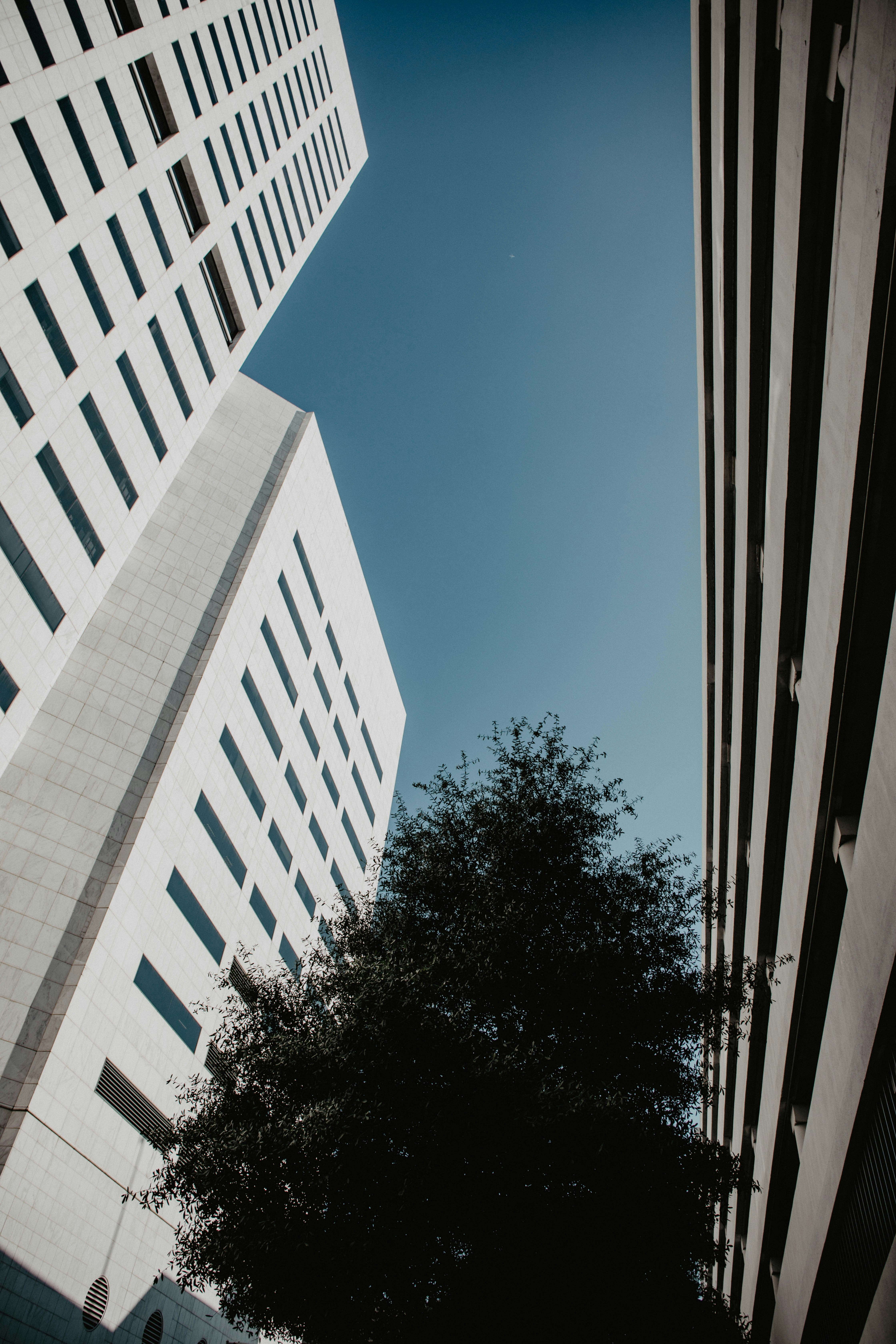 Photo by rebekahbaines