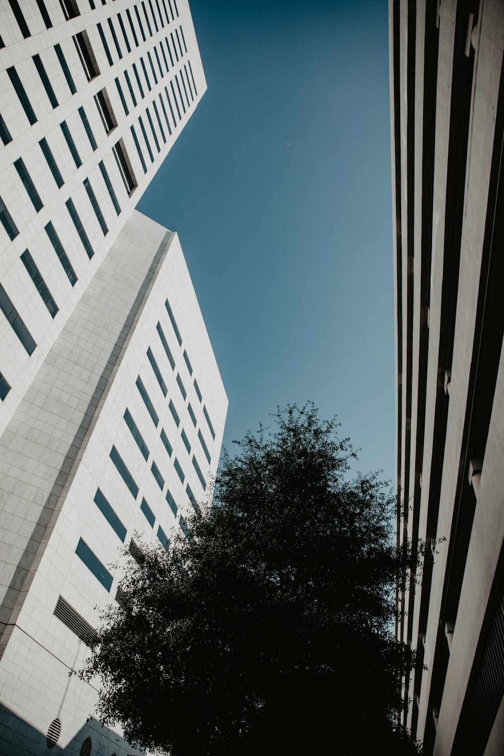 white concrete building under blue sky during daytime